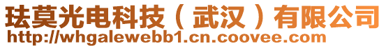 珐莫光电科技（武汉）有限公司