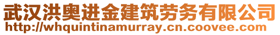 武漢洪奧進(jìn)金建筑勞務(wù)有限公司