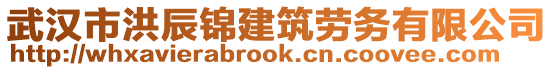 武漢市洪辰錦建筑勞務(wù)有限公司