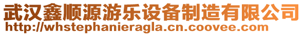 武漢鑫順源游樂設(shè)備制造有限公司