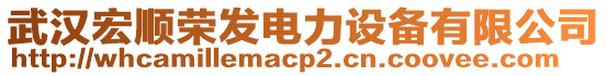 武漢宏順榮發(fā)電力設備有限公司