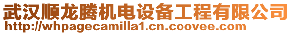 武漢順龍騰機(jī)電設(shè)備工程有限公司