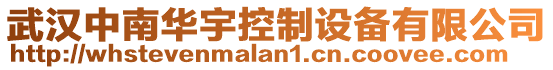 武漢中南華宇控制設備有限公司