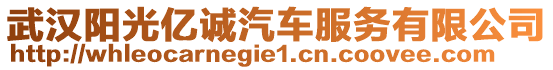 武汉阳光亿诚汽车服务有限公司