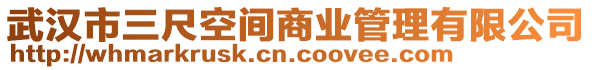 武漢市三尺空間商業(yè)管理有限公司