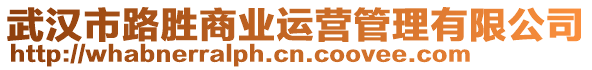 武漢市路勝商業(yè)運(yùn)營(yíng)管理有限公司