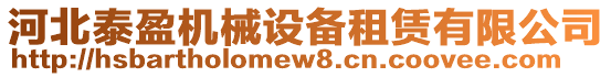 河北泰盈機(jī)械設(shè)備租賃有限公司