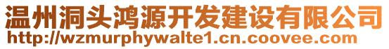 溫州洞頭鴻源開發(fā)建設(shè)有限公司