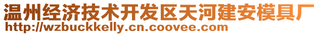 溫州經(jīng)濟(jì)技術(shù)開發(fā)區(qū)天河建安模具廠