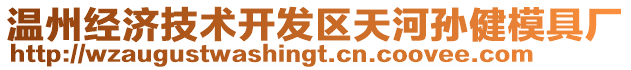 溫州經(jīng)濟(jì)技術(shù)開發(fā)區(qū)天河孫健模具廠