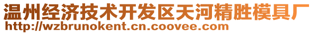 溫州經(jīng)濟(jì)技術(shù)開發(fā)區(qū)天河精勝模具廠