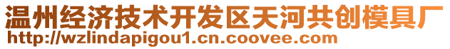 溫州經(jīng)濟(jì)技術(shù)開發(fā)區(qū)天河共創(chuàng)模具廠