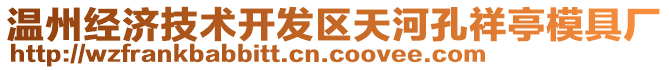 溫州經(jīng)濟(jì)技術(shù)開發(fā)區(qū)天河孔祥亭模具廠