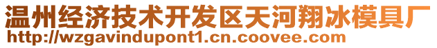 温州经济技术开发区天河翔冰模具厂