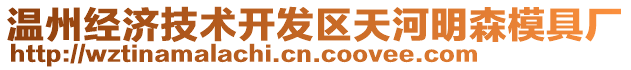 溫州經(jīng)濟(jì)技術(shù)開發(fā)區(qū)天河明森模具廠