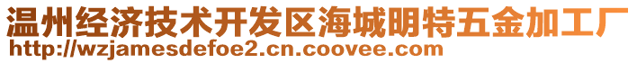 溫州經(jīng)濟技術開發(fā)區(qū)海城明特五金加工廠