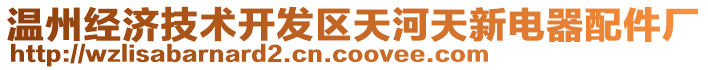 溫州經(jīng)濟技術(shù)開發(fā)區(qū)天河天新電器配件廠