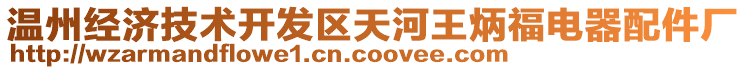 溫州經(jīng)濟(jì)技術(shù)開(kāi)發(fā)區(qū)天河王炳福電器配件廠