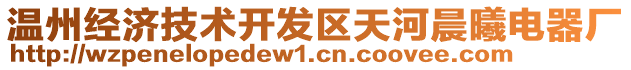 溫州經(jīng)濟(jì)技術(shù)開(kāi)發(fā)區(qū)天河晨曦電器廠