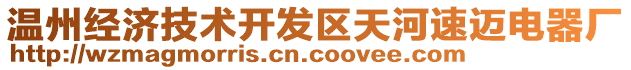 溫州經(jīng)濟(jì)技術(shù)開(kāi)發(fā)區(qū)天河速邁電器廠