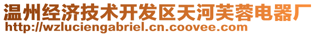 溫州經濟技術開發(fā)區(qū)天河芙蓉電器廠