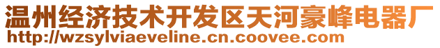 溫州經(jīng)濟技術開發(fā)區(qū)天河豪峰電器廠