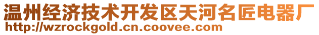 溫州經(jīng)濟(jì)技術(shù)開發(fā)區(qū)天河名匠電器廠