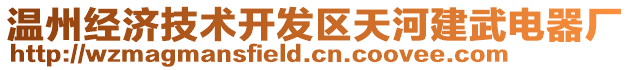 溫州經(jīng)濟技術(shù)開發(fā)區(qū)天河建武電器廠