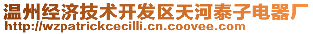 溫州經(jīng)濟技術(shù)開發(fā)區(qū)天河泰子電器廠