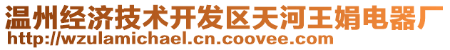 溫州經(jīng)濟技術(shù)開發(fā)區(qū)天河王娟電器廠