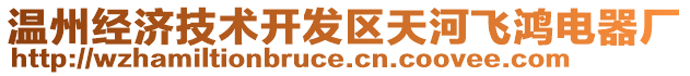 溫州經(jīng)濟(jì)技術(shù)開發(fā)區(qū)天河飛鴻電器廠