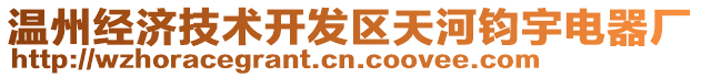 溫州經(jīng)濟技術(shù)開發(fā)區(qū)天河鈞宇電器廠