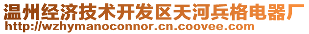 溫州經(jīng)濟技術(shù)開發(fā)區(qū)天河兵格電器廠