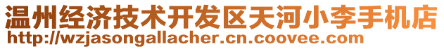 溫州經(jīng)濟技術開發(fā)區(qū)天河小李手機店