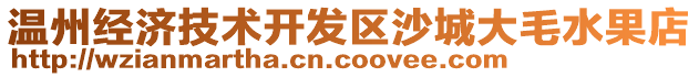 溫州經(jīng)濟(jì)技術(shù)開(kāi)發(fā)區(qū)沙城大毛水果店