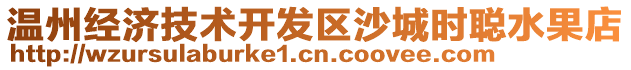 溫州經(jīng)濟(jì)技術(shù)開發(fā)區(qū)沙城時(shí)聰水果店