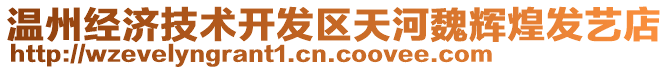 溫州經(jīng)濟(jì)技術(shù)開(kāi)發(fā)區(qū)天河魏輝煌發(fā)藝店