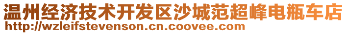 溫州經(jīng)濟技術(shù)開發(fā)區(qū)沙城范超峰電瓶車店