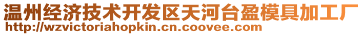 溫州經濟技術開發區天河臺盈模具加工廠