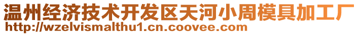 溫州經濟技術開發區天河小周模具加工廠