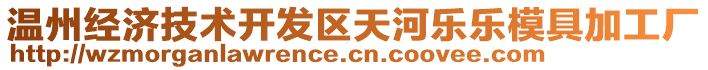 溫州經(jīng)濟(jì)技術(shù)開(kāi)發(fā)區(qū)天河樂(lè)樂(lè)模具加工廠