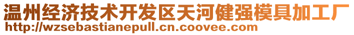 溫州經濟技術開發區天河健強模具加工廠