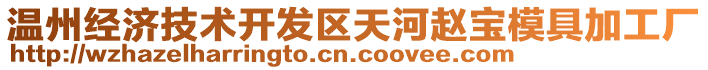溫州經濟技術開發區天河趙寶模具加工廠