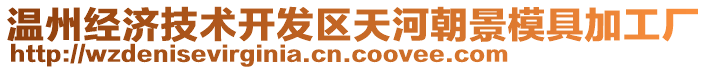 溫州經(jīng)濟(jì)技術(shù)開發(fā)區(qū)天河朝景模具加工廠