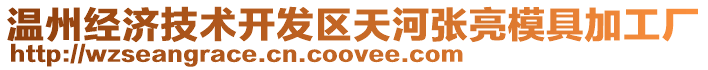 溫州經(jīng)濟(jì)技術(shù)開發(fā)區(qū)天河張亮模具加工廠