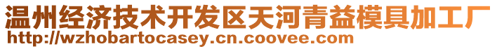 溫州經濟技術開發區天河青益模具加工廠