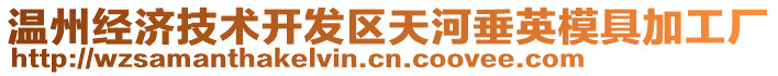 溫州經(jīng)濟(jì)技術(shù)開發(fā)區(qū)天河垂英模具加工廠