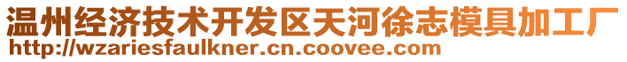 溫州經(jīng)濟(jì)技術(shù)開發(fā)區(qū)天河徐志模具加工廠