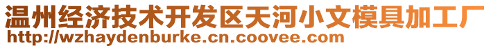 溫州經濟技術開發區天河小文模具加工廠