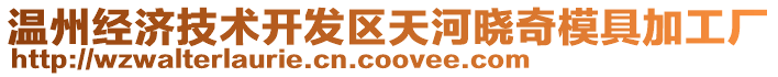 溫州經濟技術開發區天河曉奇模具加工廠